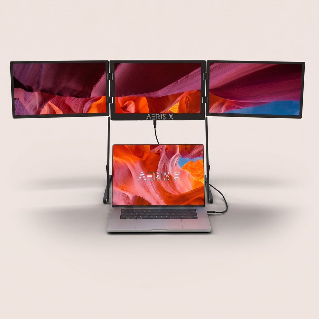Triple AEROView Max
