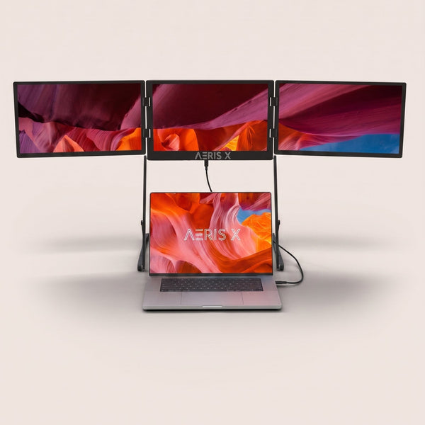 Triple AEROView Max